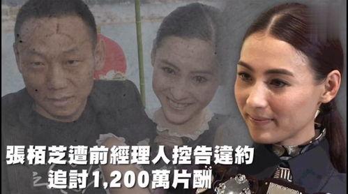 国外综艺吃瓜,吃瓜群众眼中的海外综艺风云